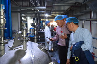 上海蜂花智能工廠投產(chǎn)，4億元投資驅(qū)動(dòng)產(chǎn)業(yè)升級與互聯(lián)網(wǎng)銷售新布局